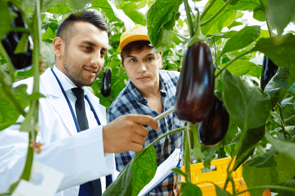 Hybrid Vegetable Seeds Online India at Low Price