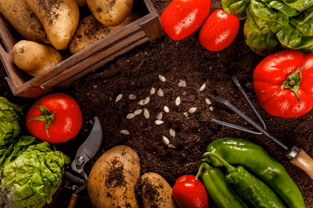 Best Vegetable Seeds for Gardening – Hybrid & Organic Seeds of Vegetables