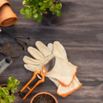 21 Proven Gardening Tips to Grow Healthy Plants at Home