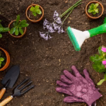Best Gardening Tips for Organic Vegetable Growers