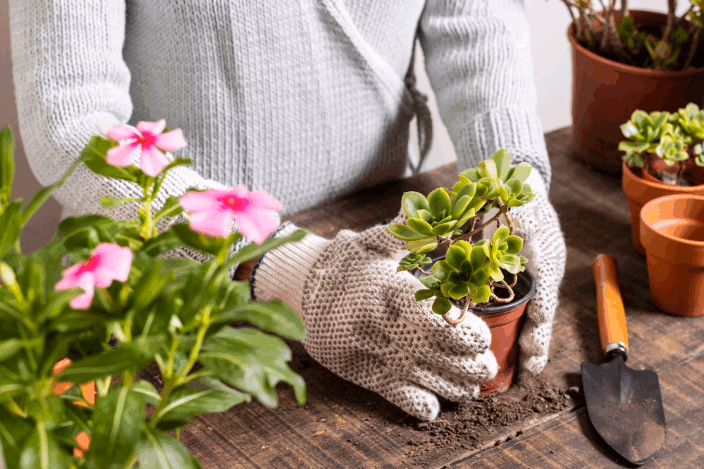 Creative Small Space Gardening Solutions for Apartments