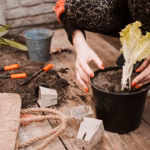 5 Easy Organic Gardening Tips